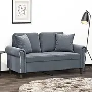2-Seater Sofa Dark Grey Velvet Couch, Living Room Couches with Throw Pillows, 120 cm Seat, Modern Furniture Concept