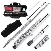 Advance New 16 Hole C Key Flute with Portable Case Closed Hole Nickel Silver