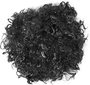 LALADEFIEE Fluffy Clown Wig for Cosplay Fun Party Accessory for Carnival Circus Theme Lightweight Hair Styling Prop Stand Out Costume Events