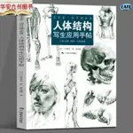 🔹【正版】人體結構寫生應用手帖 三澤寬志 女生人體結構造型設計手繪素描技