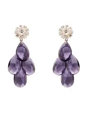 RUBUS STATEMENT EARRINGS