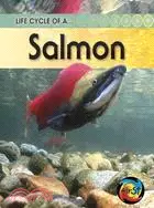 在飛比找三民網路書店優惠-Life Cycle of a Salmon