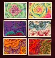 Handmade Greeting Cards made with Kaffe Fassett fabric