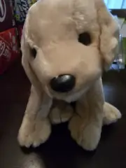 Ty Large Plush Beanie Buddy - Fetch Dog Golden Retriever NEW MWMT