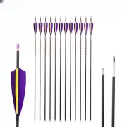 6/12pcs ID4.2mm Archery Pure Carbon Arrow 250 300 1500 4" Feather Recurve Bow