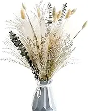 Musunny Natural Dried Flower Bouquet,17" Dried Flowers for Decoration,Dried Floral Arrangements for Home Décor Indoor with Pampas(Green)