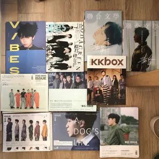 蘇打綠 吳青峰 青峰 魚丁糸 雜誌 大誌 vibes gigs 聯合文學 the big issue kkbox音樂誌