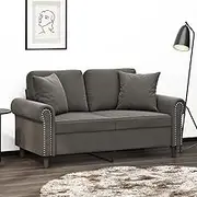Throw Pillows Set of 2 - Dark Grey 40x40 cm Velvet Decorative Square Cushions with PP Cotton Inserts for Couch, Sofa, Living Room, and Bedroom Decor