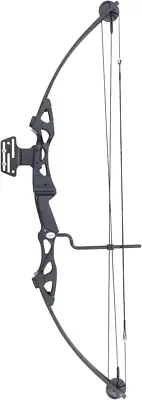 55 Lb 29'' Compound Bow Target