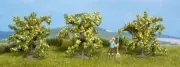NOCH - 3 Lemon trees 4 cm - - NOC25115