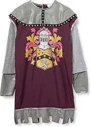 Fun World InCharacter Costumes Men's Noble Knight Costume, Silver/Burgundy