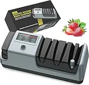 YOORLEAY 5-in-1 Electric Knife Sharpener - 3 Rotation Speeds Adjustable Electric Knife Sharpener, Suitable for Knives with Straight Blade, Serrated Knives & Scissors, Grey