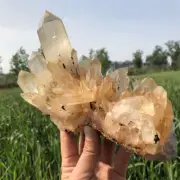 1440g Natural Clear Quartz Cluster Quartz Crystal Point Specimen Reiki Decor