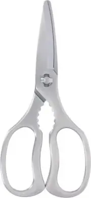 Takagi All Stainless Steel Kitchen Scissors, Dishwasher Safe, Can Be Sterilized