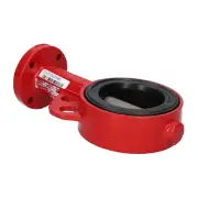Bray Controls 30DN80GG25EPDM1.4408 DN80 PN/PS 1016 Bar New NMP