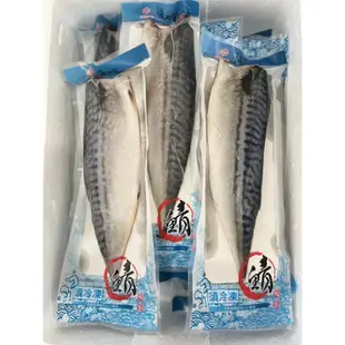 挪威鯖魚片／特大220g／白腹鯖／檢驗合格／冷凍／海鮮／挪威鯖魚／鯖魚片／燒烤／餐廳／團購／批發