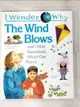 【書寶二手書T4／少年童書_D15】I wonder why the wind blows and other questions about our planet_Anita Ganeri.