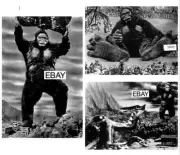 KING KONG VS GODZILLA 1962 MOVIE PHOTO LOT #1 (3) JAPAN KAIJU