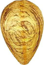 Fake Hornets Nest - Realistic Wasp Decoy Nest, Fake Wasp Nests,Hornet Trap for Outdoor, Garden, Yard, Deck, Repels Wasps Hornets Yellow Jackets