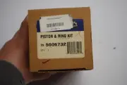 OEM Evinrude Johnson 5006732 Piston & Ring Kit .020