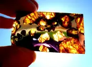 9.60 g - IMILAC PALLASITE METEORITE *THE BEST* The Most Beautiful & Translucent