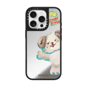 iPhone 16 Pro Mirror Case MagSafe Compatible SLOWCOASTER Damsook
