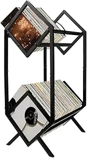 2 Tier Vinyl Record Storage Rack, 160-200 LP Albums Storage Shelf, Metal Display Stand for Albums Magazines Books Files (Black)