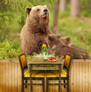3D Cute Brown Bear G18272 Wallpaper Wall Murals Removable Self-adhesive Honey