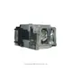 ELPLP65 EPSON 副廠環保投影機燈泡/保固半年/適用機型EB-1760W、EB-1771W