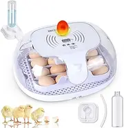 16-35 Egg Incubator for Hatching Chicks, Auto Turning, Water Top-up, Candler, ℉ Display, 360° View, Blue