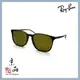【RAYBAN】RB4387F 902/73 玳瑁 茶色片 輕量大框 雷朋太陽眼鏡 公司貨 JPG 京品眼鏡