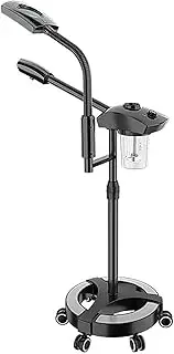 Professional Facial Steamer, 2 in 1 Facial Steamer with LED 3X Magnifying Lamp Home Spa Salon Use Whiten Skin Promote Blood Circulation and Sweep Sediment (Color : B)