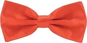 [JMCo] Men's Satin Bow Tie Solid Colour Pre Tied Bowtie Necktie Tuxedo for Wedding Party Gift Women (Red)