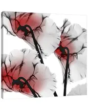 Crimson Luster Cyclamen by Albert Koetsier