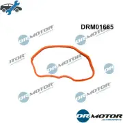 GASKET INTAKE MANIFOLD DRM01665 FOR AUDI Q7/Van A6/C7/Allroad/C6 Q5 A7 A8/D4
