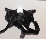 Bat Wings Small Dog Harness, Step-in, Adjustable
