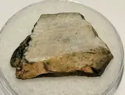 2.50 grams DJOUA 001 Meteorite Enstatite achondrite (Aubrite) cut slice + COA