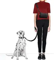 Hands-Free Dog Leash with Adjustable Waist & Crossbody Fanny Pack Perfect for Walking, Jogging, & Training, Securely Holds Treats, Toys, and Essentials, Comfortable, Durable, and Convenient Design