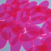 Oval Vinyl Shape 1.5" Hot Pink Go Go Fluorescent Edge Glow