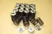 Suit Ferrari 308 V8 aftermarket Performance Dual Springs/Titanium Retainer Kit.