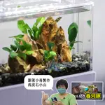 【AC草影】MAXX 極限 大容量造景瞬間膠（100G）【一罐】水族造景瞬間膠 水草造景膠 水中瞬間膠 水族膠 魚缸膠