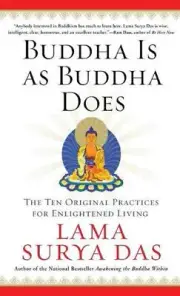 Buddha is as Buddha Does: The Ten Original Practices for Enlightened Living by L