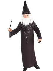 Merlin Boys Classic Wizard Fancy Dress Costume