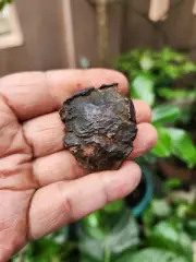 Gebel Kamil Meteorite . Iron Rock . Meteorite Rock . 315.14 Carat