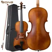 European Spruce Top Violin 4/4/3/2/1 Fiddle maple wood back with case/bow