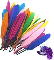 Craft Feathers - 50 Pieces Coloured Feathers, Macaron Colour | Craft Feathers 50 Pieces Colorful Feathers Macaron Feathers Wedding Crafts Home Decoration for Home Halloween Supplies