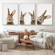 CULASIGN Premium Rabbit Poster Set, Animals Rabbit Pictures, Children's Poster Canvas Wall Art, Wall Pictures Decoration for Children's Room, Baby Room, Girls Boys, Without Picture Frame (30 x 40 cm,