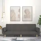 2-Seater Sofa Bed with Two Pillows Dark Grey Fabric Couch Sleeper Furnitur 75870