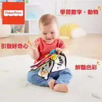 在飛比找樂天市場購物網優惠-Fisher-Price 費雪 布製學習卡