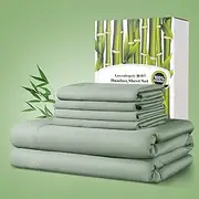 Shilucheng 100% Viscose Derived from Bamboo_ Sheets Queen Size 6pcs, Ultra Soft & Luxuriously Cooling Bed Sheets, Deep Pocket Up to 16", Hotel Silky Bedding Set (Sea Glass)